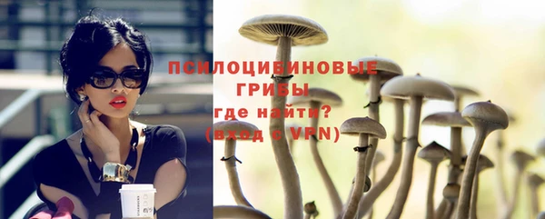 спайс Баксан