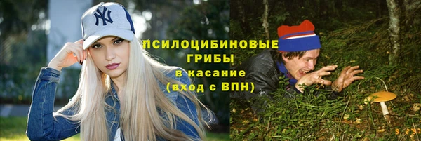 соль ск Арсеньев
