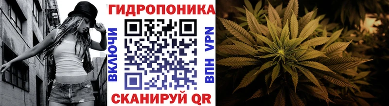 Конопля VHQ  Новопавловск 